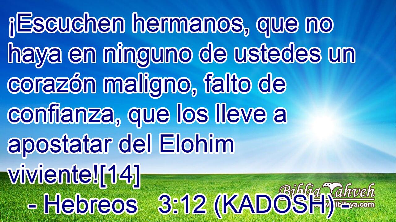  ¡Escuchen hermanos, que no haya en ninguno de ustedes un corazón maligno, falto de confianza, que los lleve a apostatar del Elohim viviente![14] 