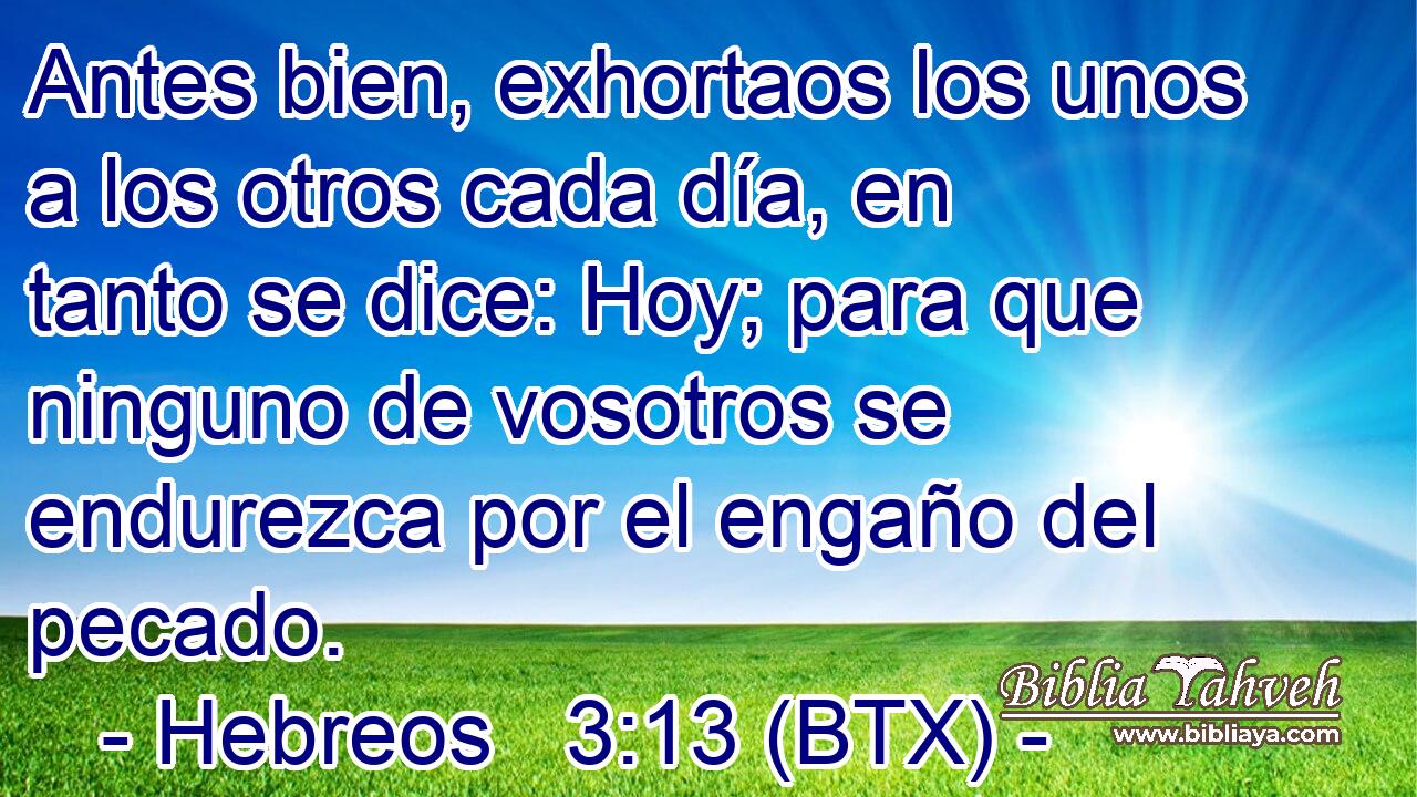 Antes bien, exhortaos los unos a los otros cada día, en tanto se dice: Hoy; para que ninguno de vosotros se endurezca por el engaño del pecado.