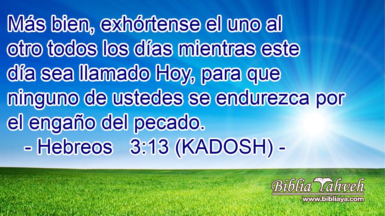  Más bien, exhórtense el uno al otro todos los días mientras este día sea llamado Hoy, para que ninguno de ustedes se endurezca por el engaño del pecado. 