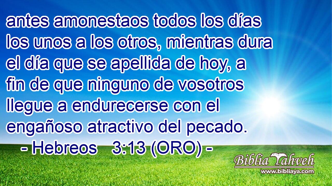  antes amonestaos todos los días los unos a los otros, mientras dura el día que se apellida de hoy, a fin de que ninguno de vosotros llegue a endurecerse con el engañoso atractivo del pecado. 