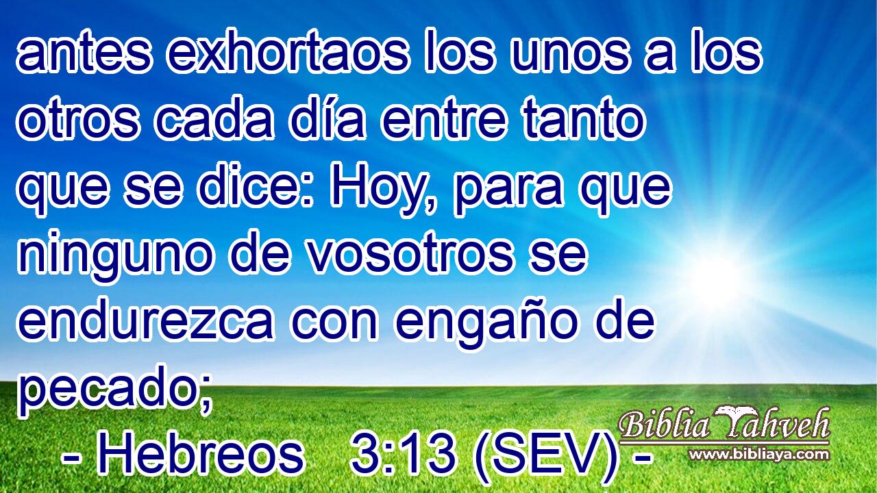 antes exhortaos los unos a los otros cada día entre tanto que se dice: Hoy, para que ninguno de vosotros se endurezca con engaño de pecado;