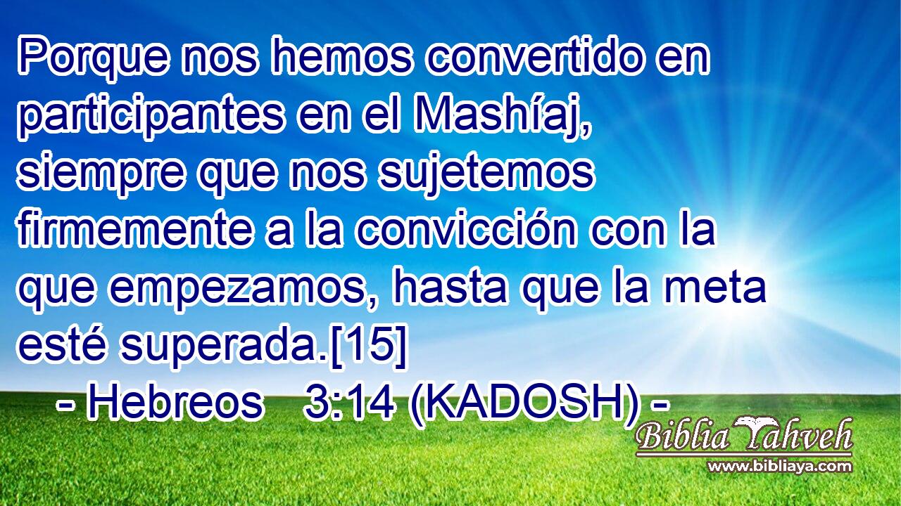  Porque nos hemos convertido en participantes en el Mashíaj, siempre que nos sujetemos firmemente a la convicción con la que empezamos, hasta que la meta esté superada.[15] 