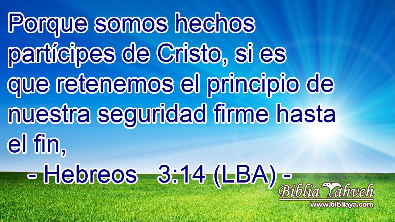 Porque somos hechos partícipes de Cristo, si es que retenemos el principio de nuestra seguridad firme hasta el fin,