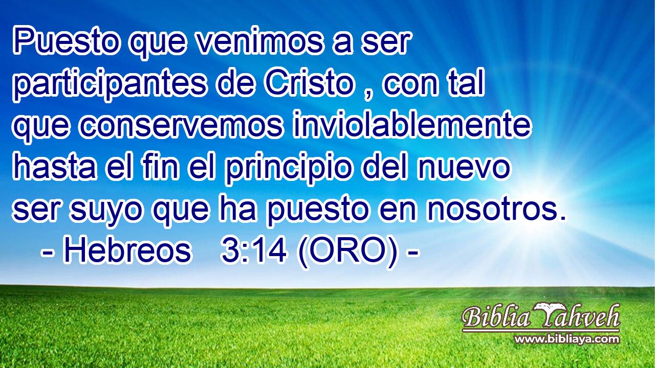  Puesto que venimos a ser participantes de Cristo , con tal que conservemos inviolablemente hasta el fin el principio del nuevo ser suyo que ha puesto en nosotros. 