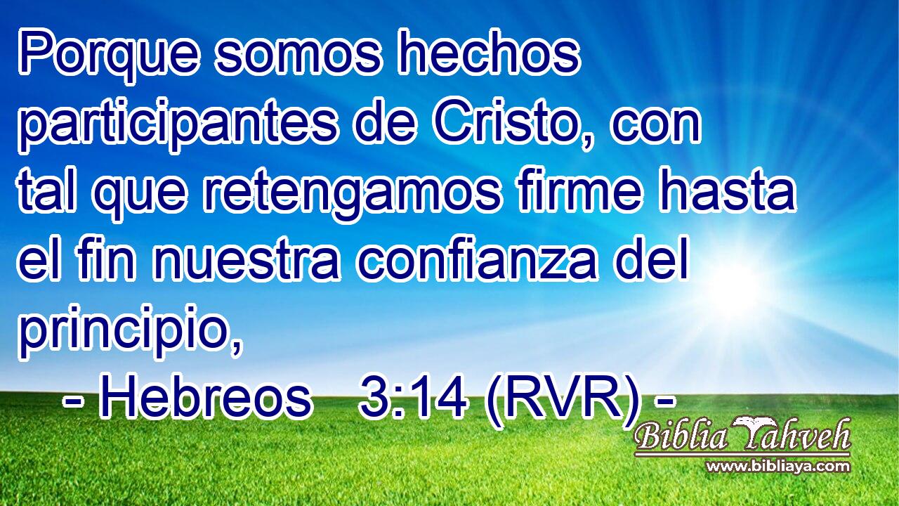 Porque somos hechos participantes de Cristo, con tal que retengamos firme hasta el fin nuestra confianza del principio,