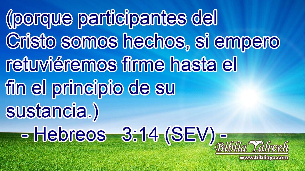 (porque participantes del Cristo somos hechos, si empero retuviéremos firme hasta el fin el principio de su sustancia.)