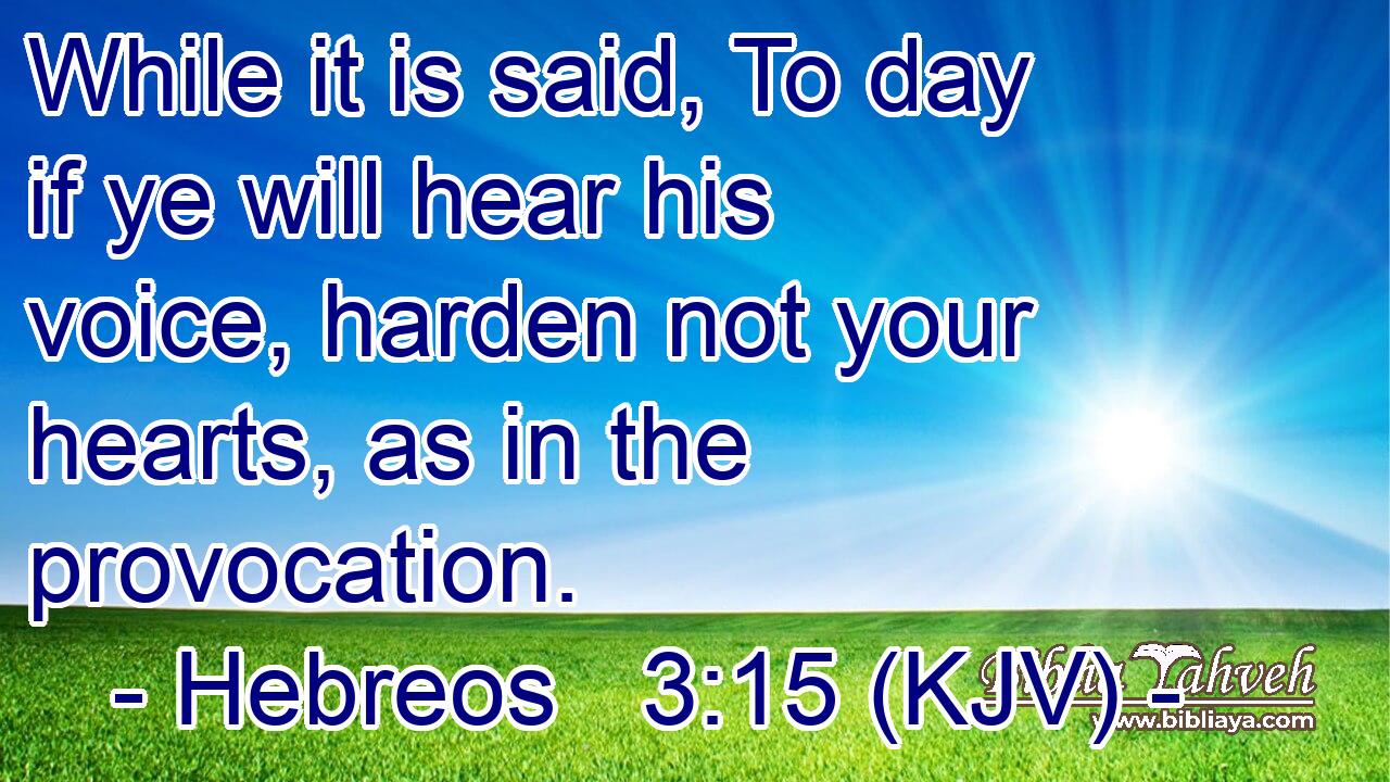 While it is said, To day if ye will hear his voice, harden not your hearts, as in the provocation.