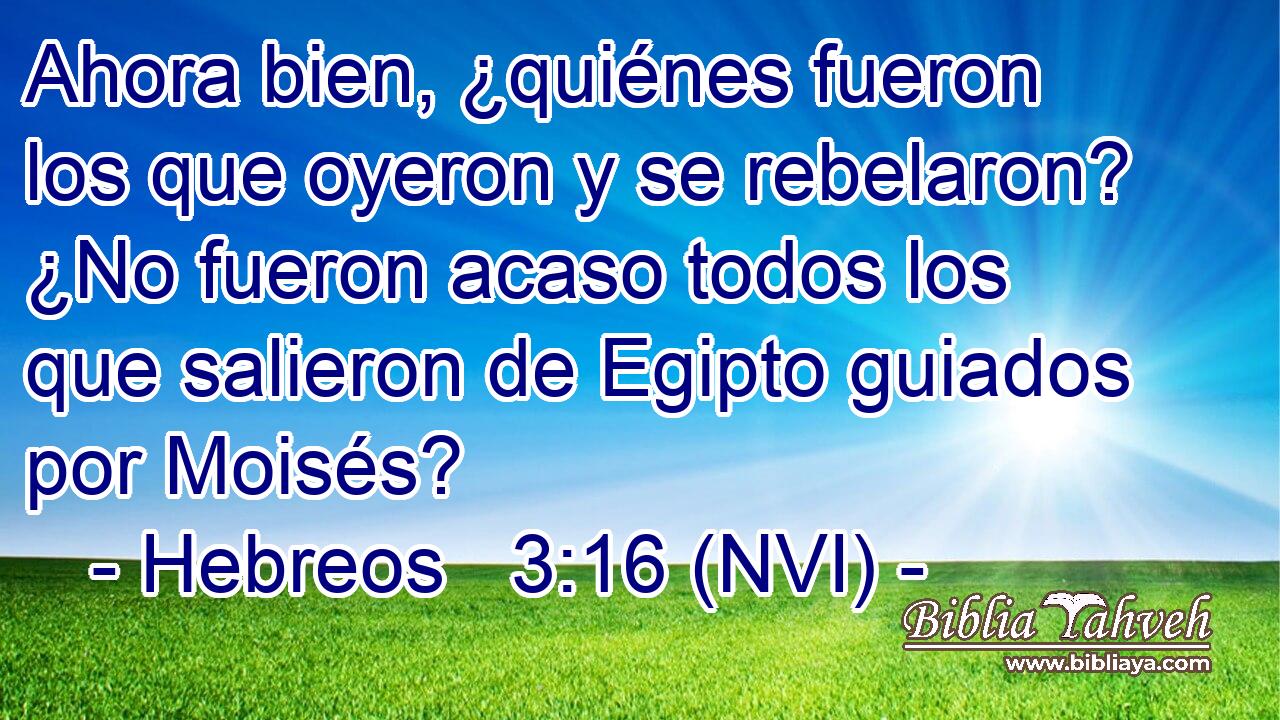  Ahora bien, ¿quiénes fueron los que oyeron y se rebelaron? ¿No fueron acaso todos los que salieron de Egipto guiados por Moisés? 