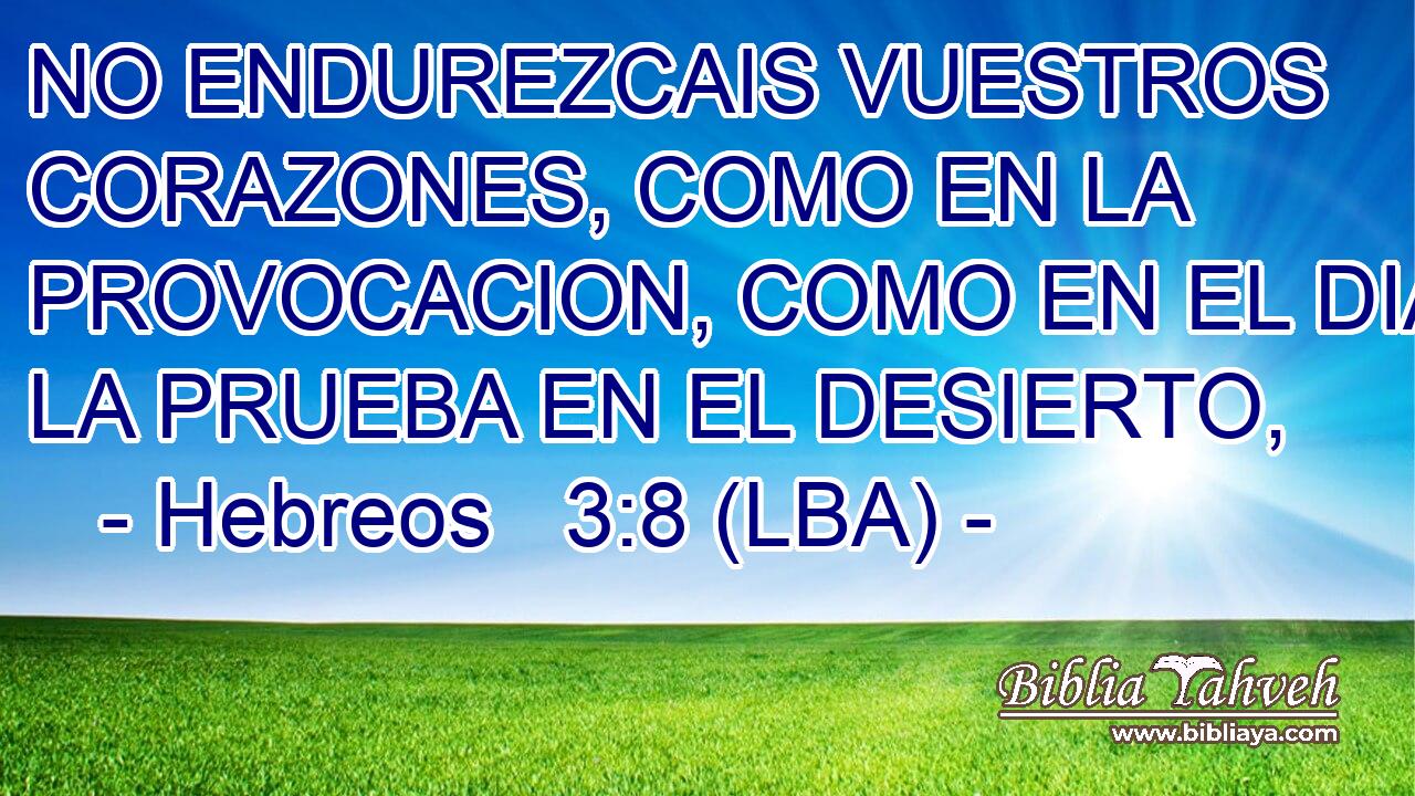 NO ENDUREZCAIS VUESTROS CORAZONES, COMO EN LA PROVOCACION, COMO EN EL DIA DE LA PRUEBA EN EL DESIERTO,