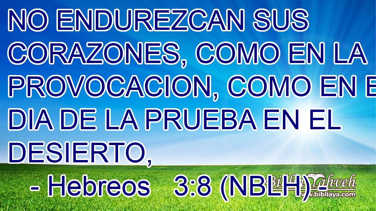 NO ENDUREZCAN SUS CORAZONES, COMO EN LA PROVOCACION, COMO EN EL DIA DE LA PRUEBA EN EL DESIERTO, 