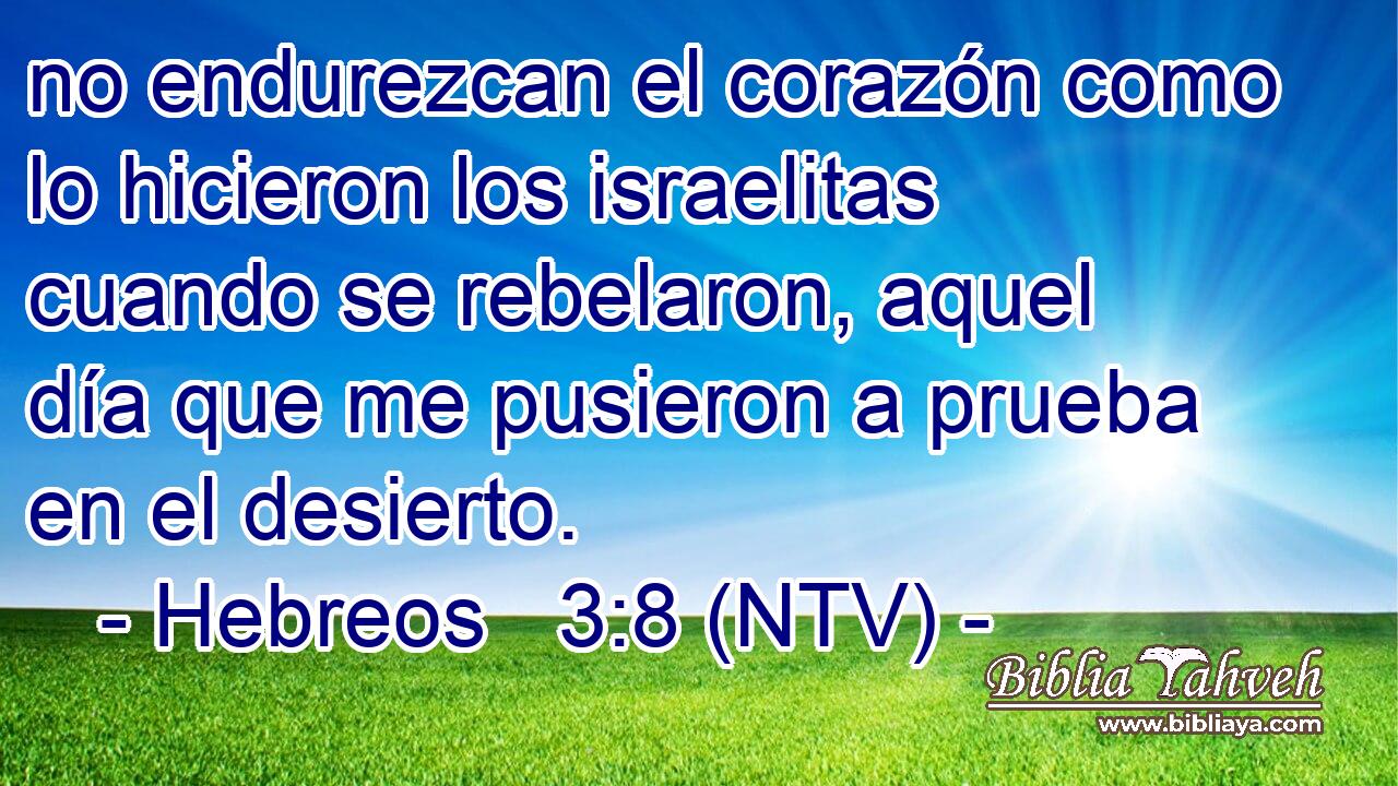 no endurezcan el corazón como lo hicieron los israelitas cuando se rebelaron, aquel día que me pusieron a prueba en el desierto.