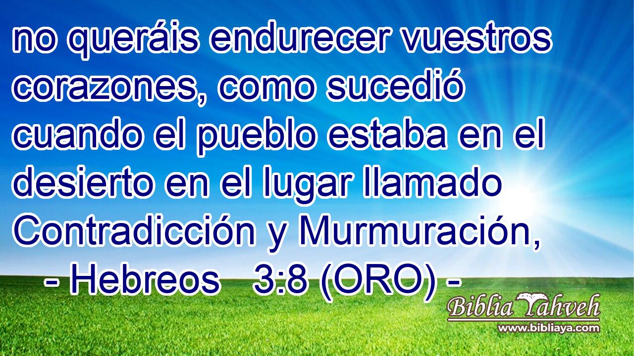  no queráis endurecer vuestros corazones, como sucedió cuando el pueblo estaba en el desierto en el lugar llamado Contradicción y Murmuración, 