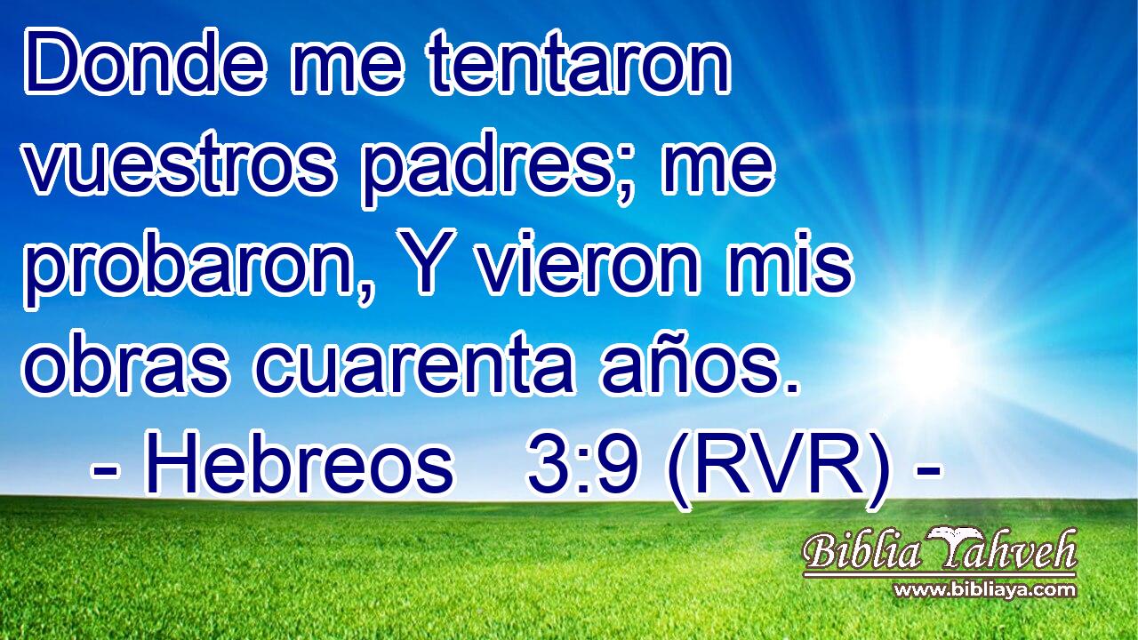 Donde me tentaron vuestros padres; me probaron, Y vieron mis obras cuarenta años.