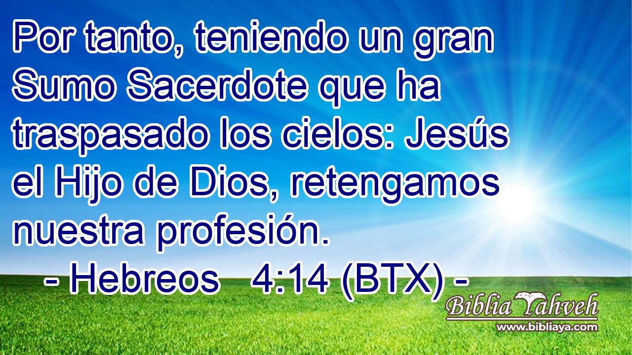 Por tanto, teniendo un gran Sumo Sacerdote que ha traspasado los cielos: Jesús el Hijo de Dios, retengamos nuestra profesión.