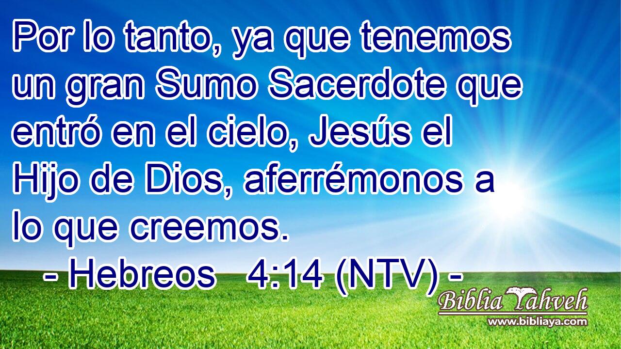 Por lo tanto, ya que tenemos un gran Sumo Sacerdote que entró en el cielo, Jesús el Hijo de Dios, aferrémonos a lo que creemos.