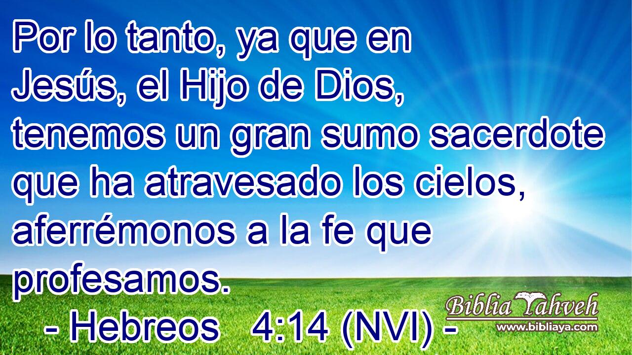 Por lo tanto, ya que en Jesús, el Hijo de Dios, tenemos un gran sumo sacerdote que ha atravesado los cielos, aferrémonos a la fe que profesamos. 