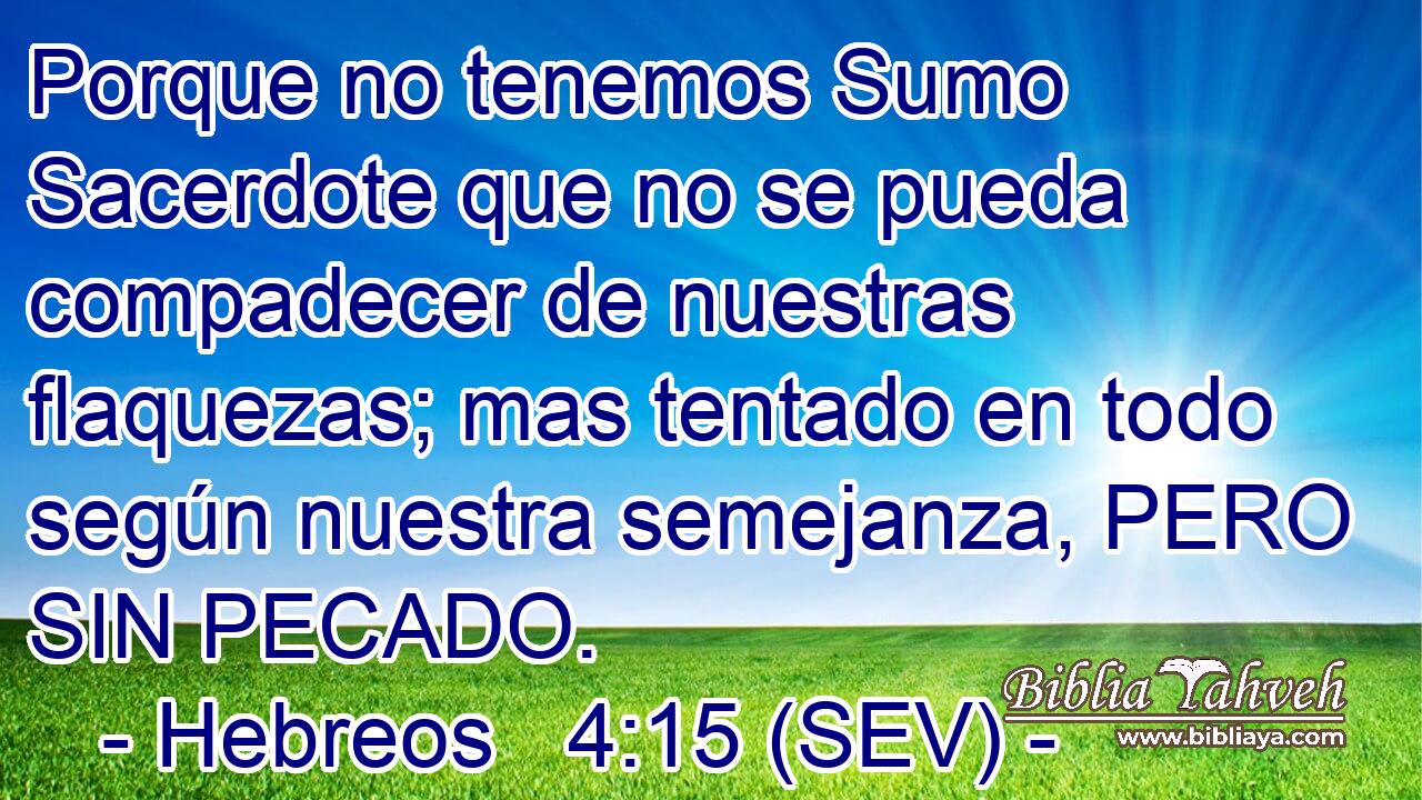 Porque no tenemos Sumo Sacerdote que no se pueda compadecer de nuestras flaquezas; mas tentado en todo según nuestra semejanza, PERO SIN PECADO.