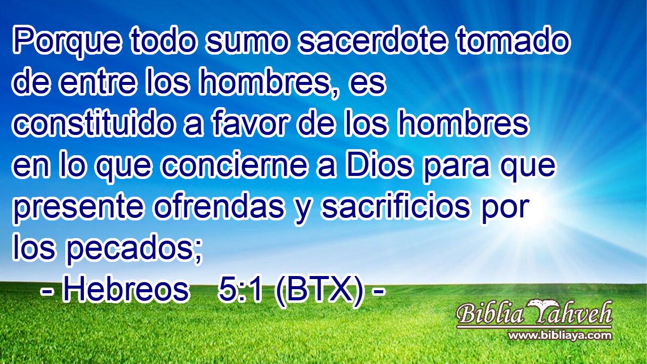 Porque todo sumo sacerdote tomado de entre los hombres, es constituido a favor de los hombres en lo que concierne a Dios para que presente ofrendas y sacrificios por los pecados;