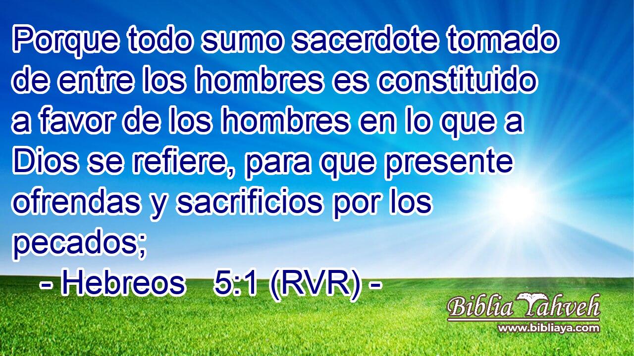 Porque todo sumo sacerdote tomado de entre los hombres es constituido a favor de los hombres en lo que a Dios se refiere, para que presente ofrendas y sacrificios por los pecados;