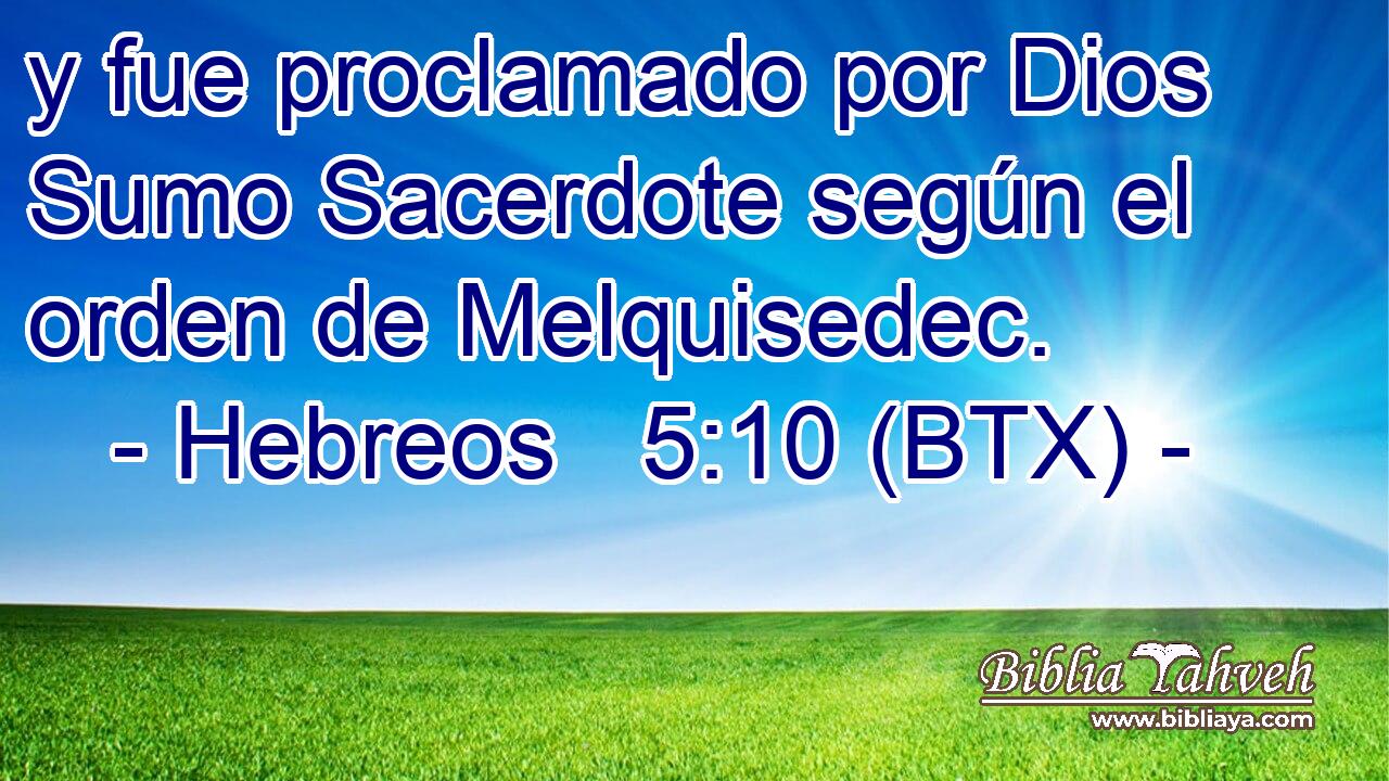 y fue proclamado por Dios Sumo Sacerdote según el orden de Melquisedec.
