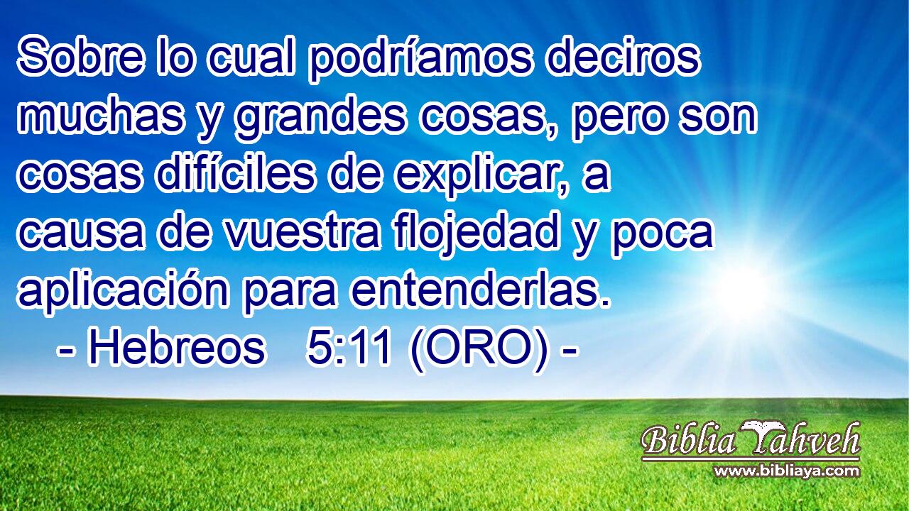 Sobre lo cual podríamos deciros muchas y grandes cosas, pero son cosas difíciles de explicar, a causa de vuestra flojedad y poca aplicación para entenderlas. 