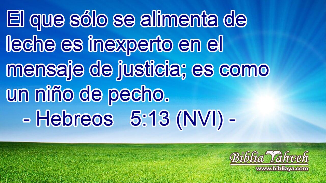  El que sólo se alimenta de leche es inexperto en el mensaje de justicia; es como un niño de pecho. 
