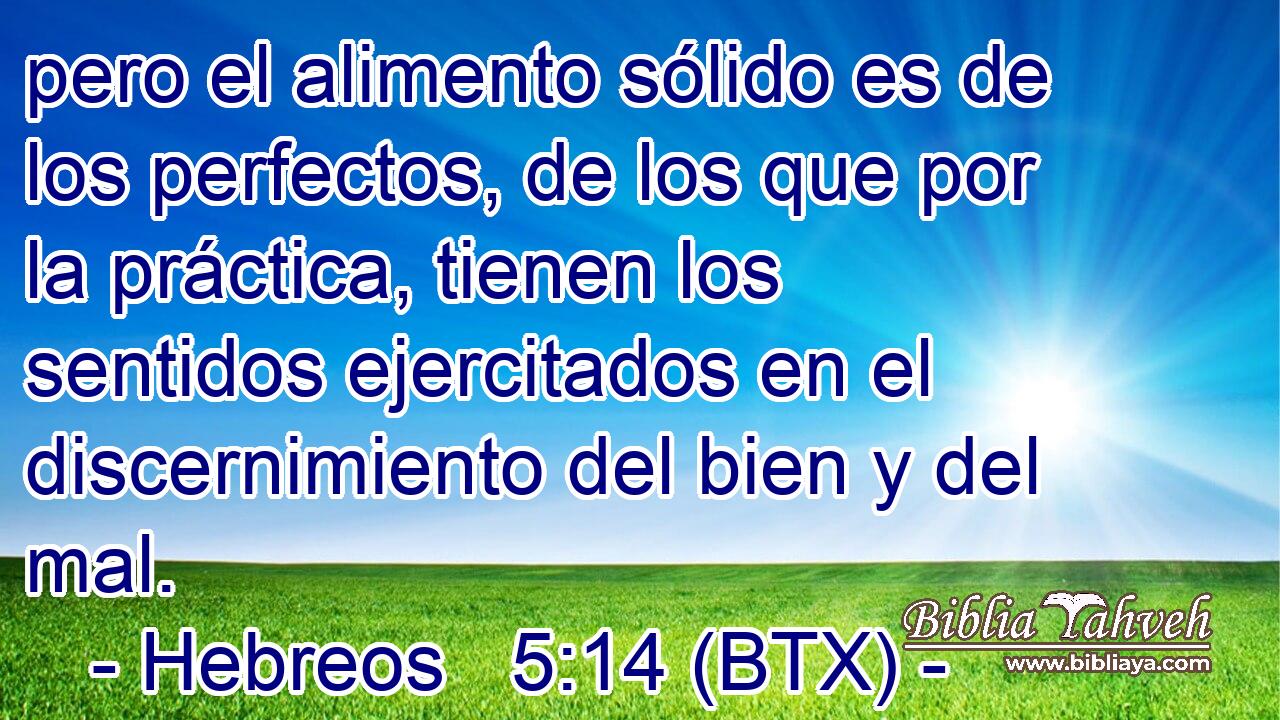 pero el alimento sólido es de los perfectos, de los que por la práctica, tienen los sentidos ejercitados en el discernimiento del bien y del mal.