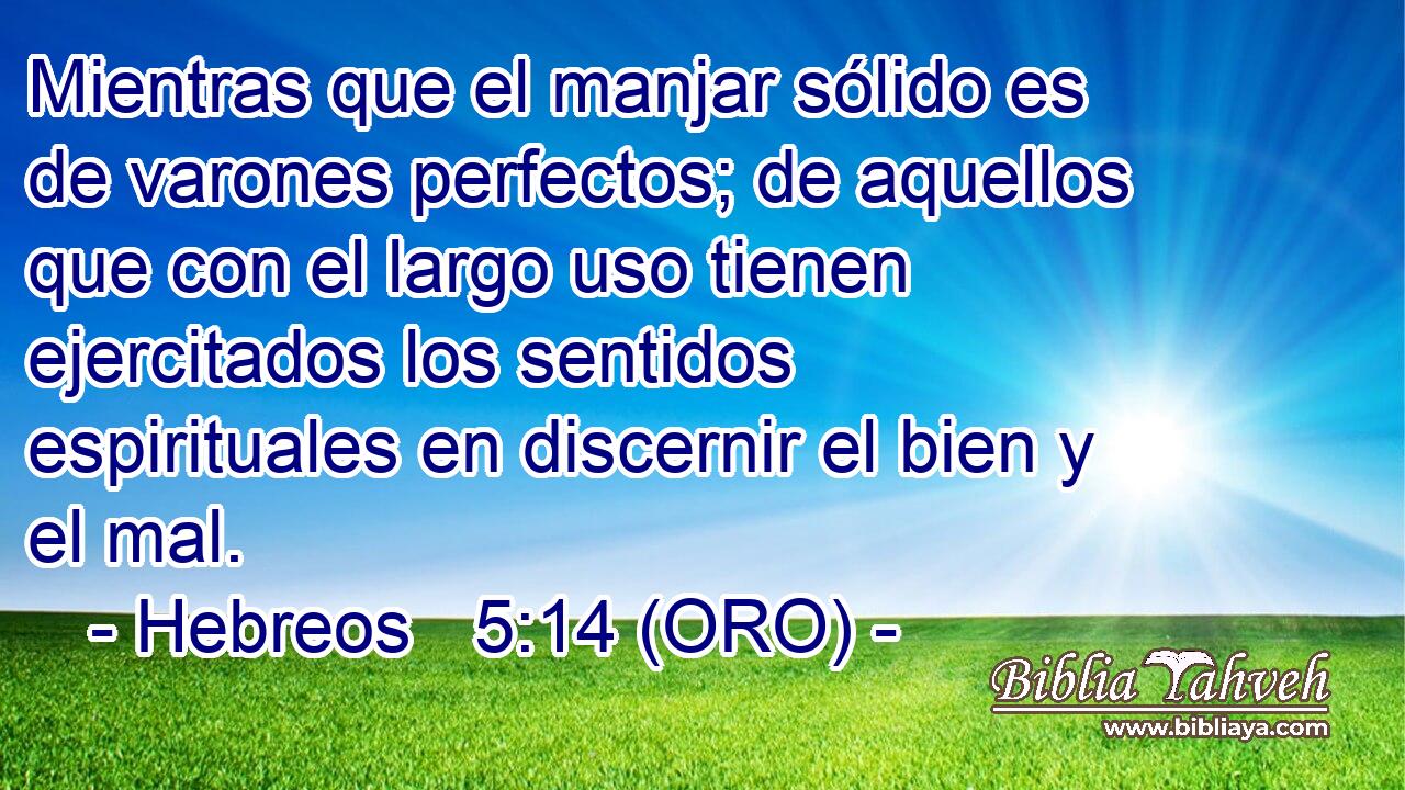  Mientras que el manjar sólido es de varones perfectos; de aquellos que con el largo uso tienen ejercitados los sentidos espirituales en discernir el bien y el mal. 