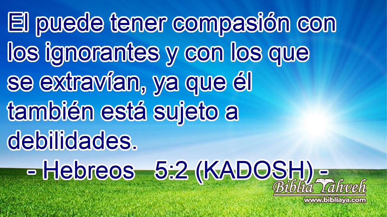  El puede tener compasión con los ignorantes y con los que se extravían, ya que él también está sujeto a debilidades. 