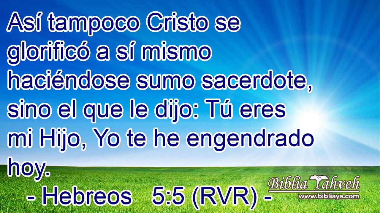 Así tampoco Cristo se glorificó a sí mismo haciéndose sumo sacerdote, sino el que le dijo: Tú eres mi Hijo, Yo te he engendrado hoy.