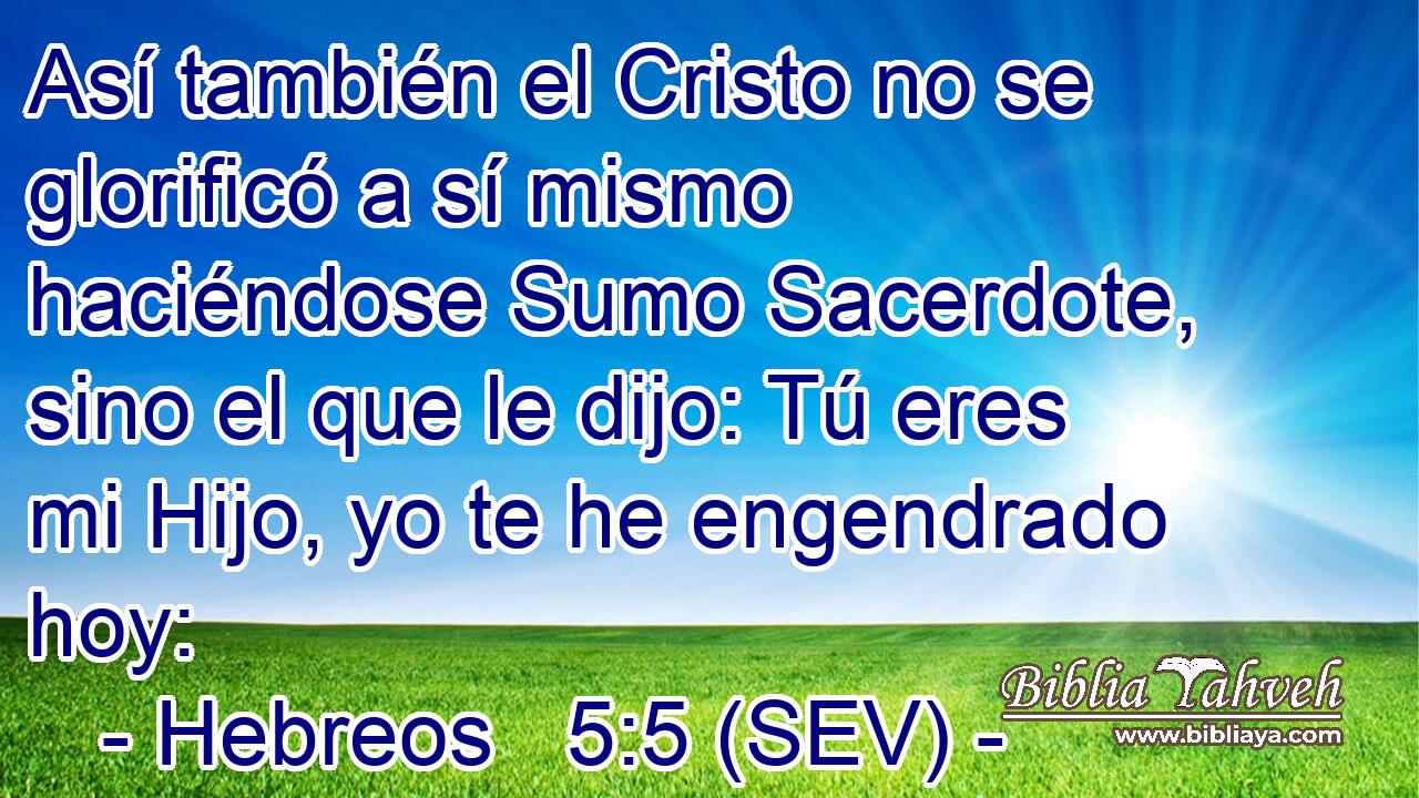 Así también el Cristo no se glorificó a sí mismo haciéndose Sumo Sacerdote, sino el que le dijo: Tú eres mi Hijo, yo te he engendrado hoy: