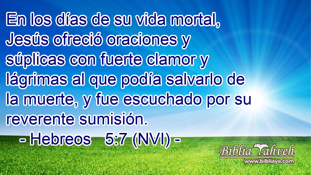  En los días de su vida mortal, Jesús ofreció oraciones y súplicas con fuerte clamor y lágrimas al que podía salvarlo de la muerte, y fue escuchado por su reverente sumisión. 