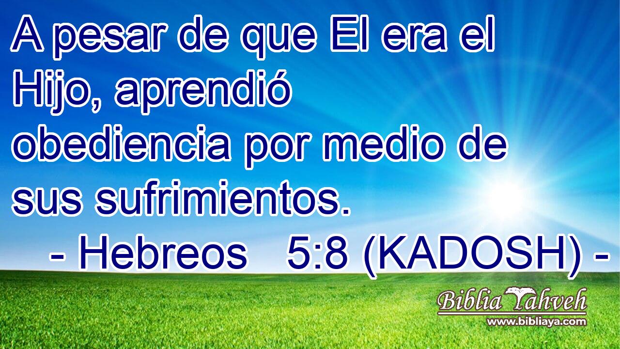  A pesar de que El era el Hijo, aprendió obediencia por medio de sus sufrimientos. 