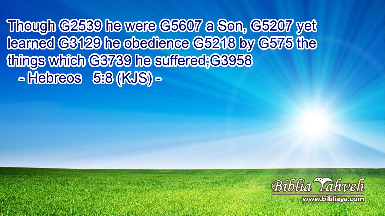 Though G2539 he were G5607 a Son, G5207 yet learned G3129 he obedience G5218 by G575 the things which G3739 he suffered;G3958