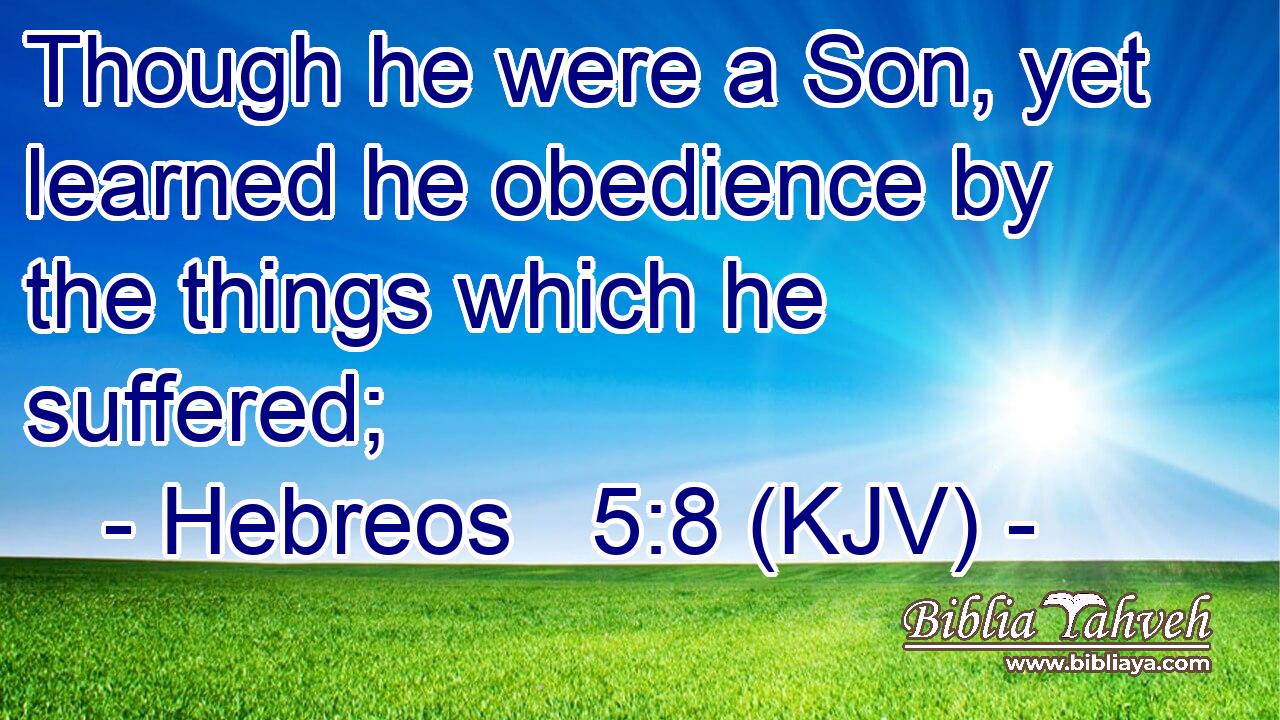 Though he were a Son, yet learned he obedience by the things which he suffered;