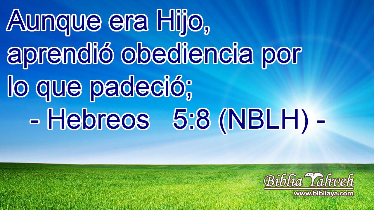  Aunque era Hijo, aprendió obediencia por lo que padeció; 