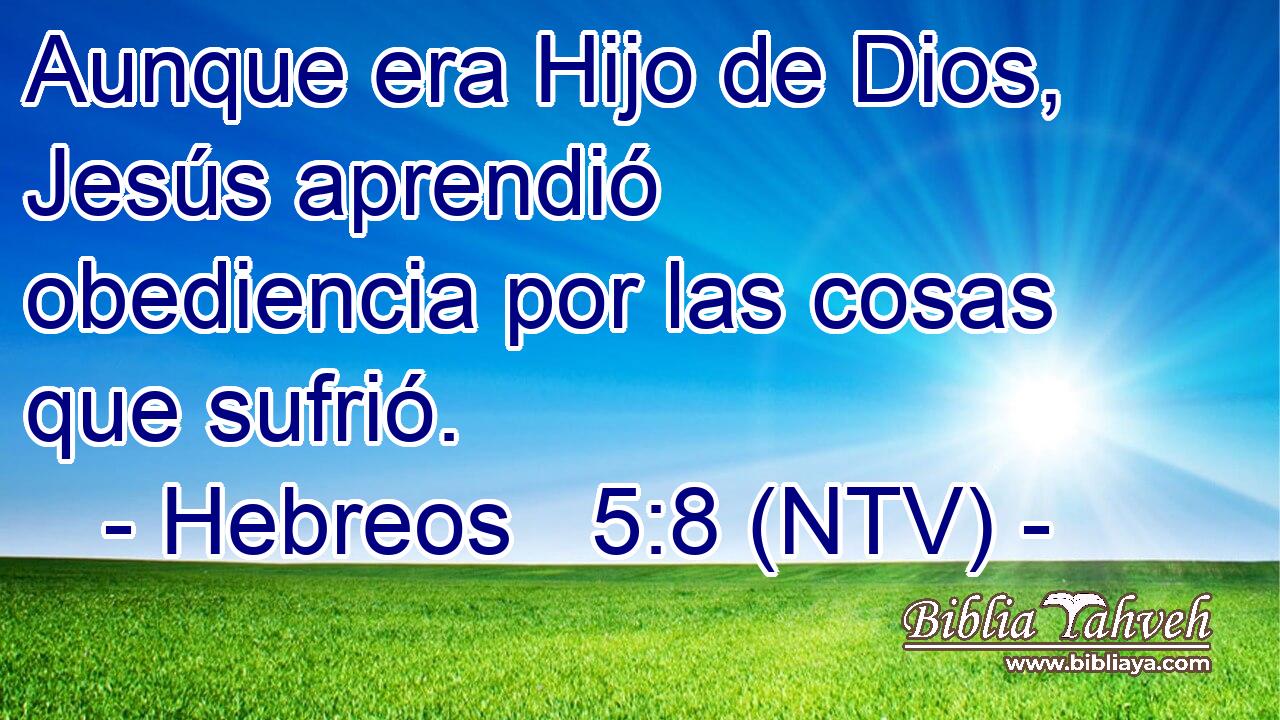 hebreos 5 8 9 ntv