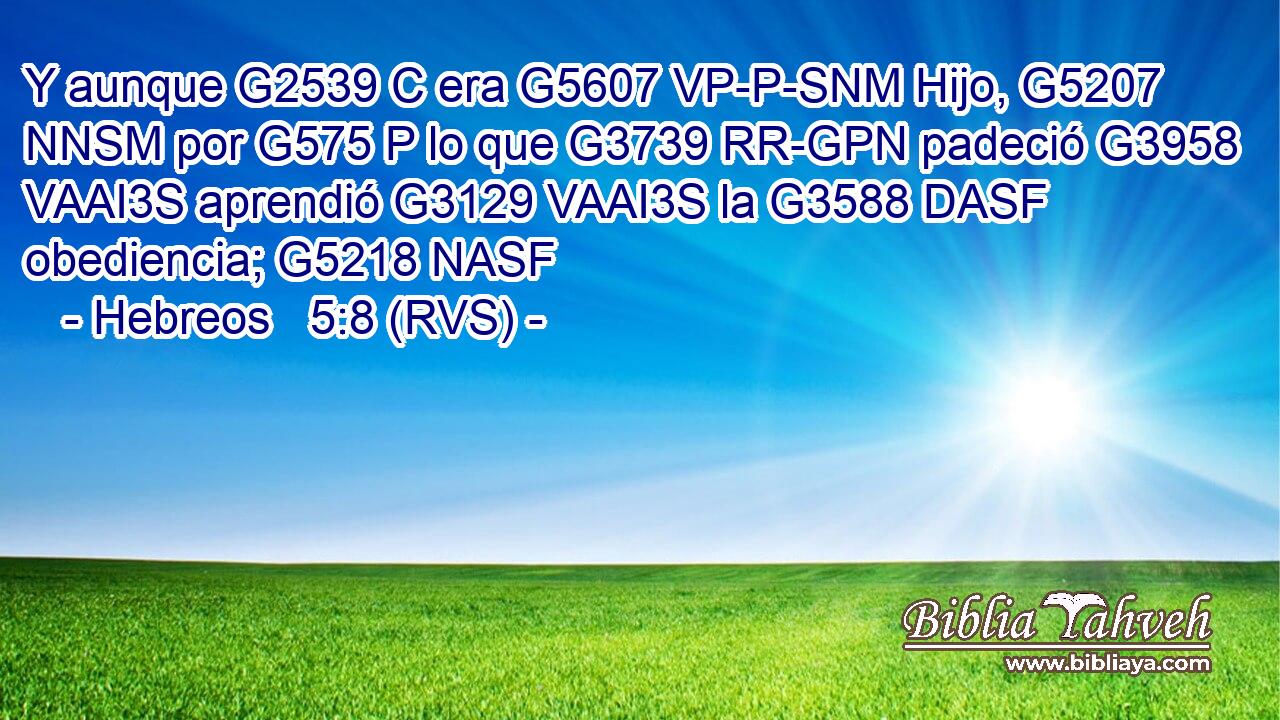 Y aunque G2539 C era G5607 VP-P-SNM Hijo, G5207 NNSM por G575 P lo que G3739 RR-GPN padeció G3958 VAAI3S aprendió G3129 VAAI3S la G3588 DASF obediencia; G5218 NASF