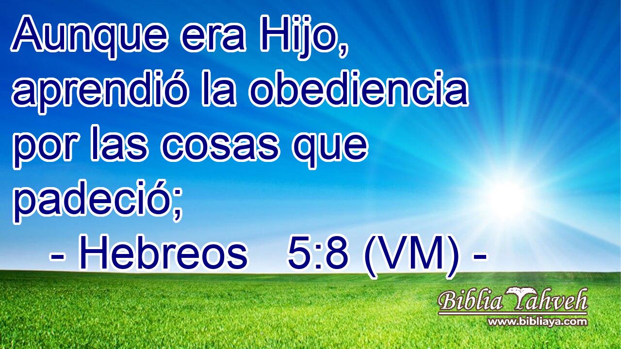  Aunque era Hijo, aprendió la obediencia por las cosas que padeció; 