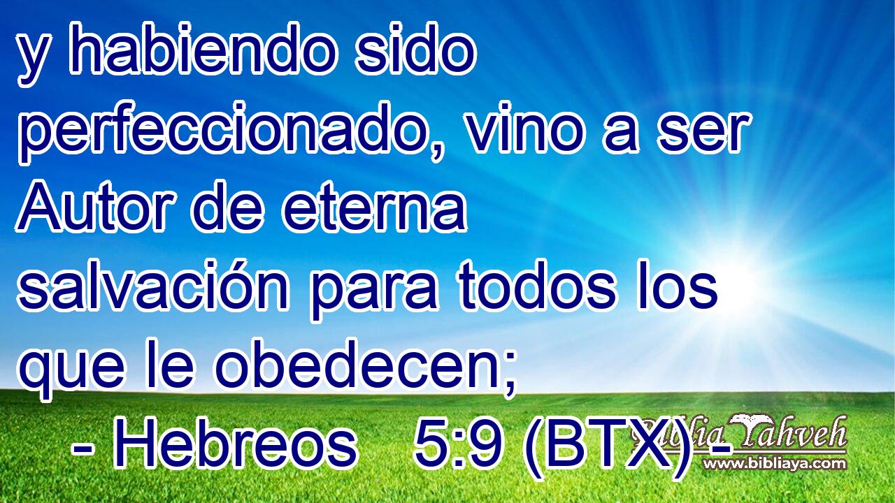 Hebreos 59 Btx Y Habiendo Sido Perfeccionado Vino A Ser Au 2181