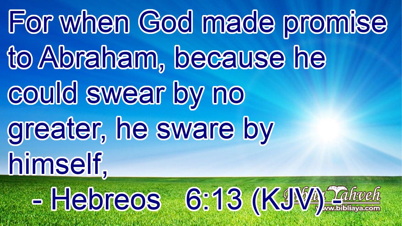 For when God made promise to Abraham, because he could swear by no greater, he sware by himself,