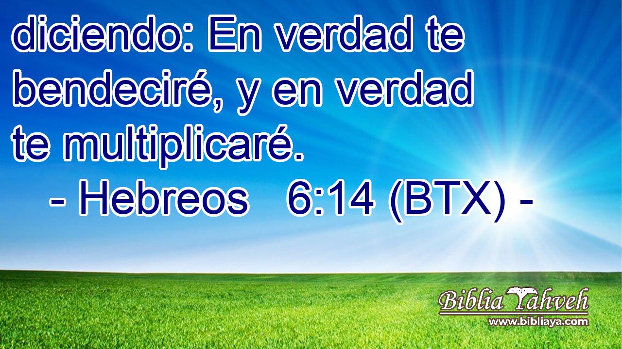 diciendo: En verdad te bendeciré, y en verdad te multiplicaré.