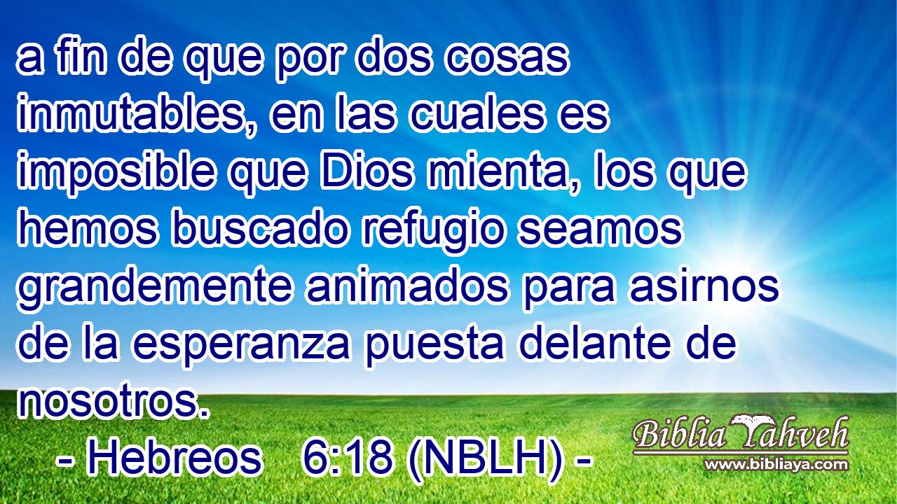  a fin de que por dos cosas inmutables, en las cuales es imposible que Dios mienta, los que hemos buscado refugio seamos grandemente animados para asirnos de la esperanza puesta delante de nosotros. 