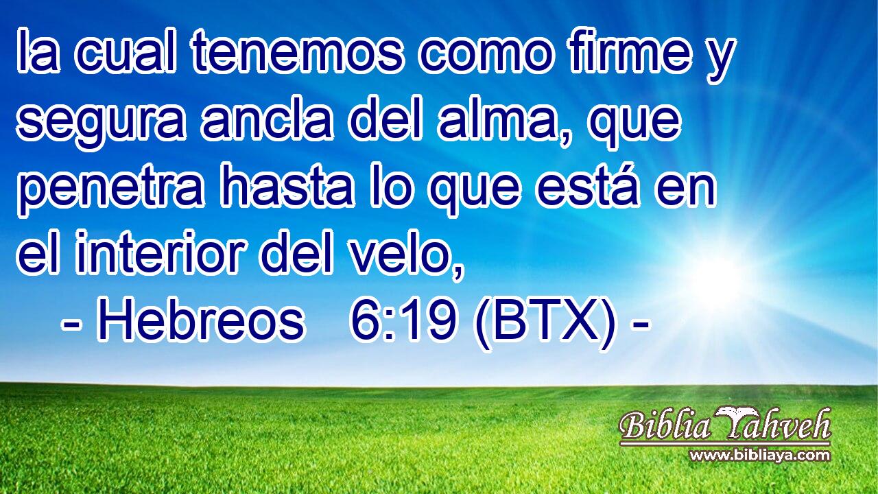la cual tenemos como firme y segura ancla del alma, que penetra hasta lo que está en el interior del velo,