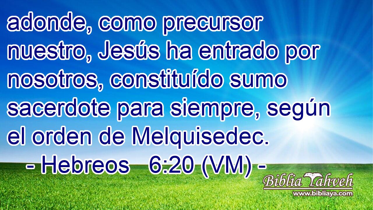  adonde, como precursor nuestro, Jesús ha entrado por nosotros, constituído sumo sacerdote para siempre, según el orden de Melquisedec. 