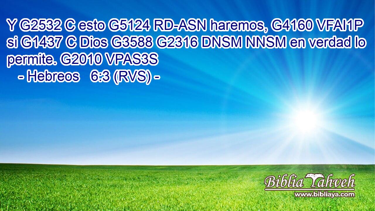 Y G2532 C esto G5124 RD-ASN haremos, G4160 VFAI1P si G1437 C Dios G3588 G2316 DNSM NNSM en verdad lo permite. G2010 VPAS3S 