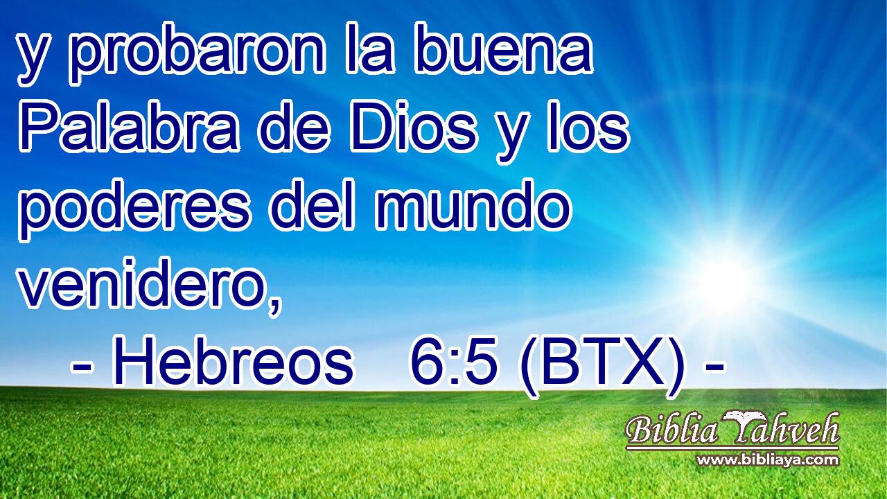 y probaron la buena Palabra de Dios y los poderes del mundo venidero,