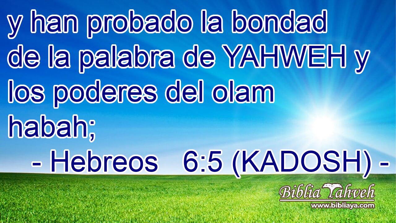  y han probado la bondad de la palabra de YAHWEH y los poderes del olam habah; 