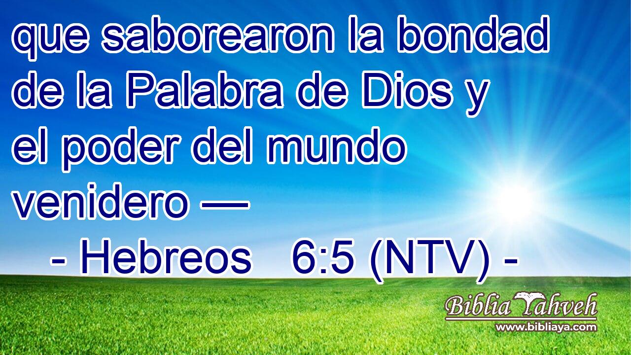 que saborearon la bondad de la Palabra de Dios y el poder del mundo venidero —