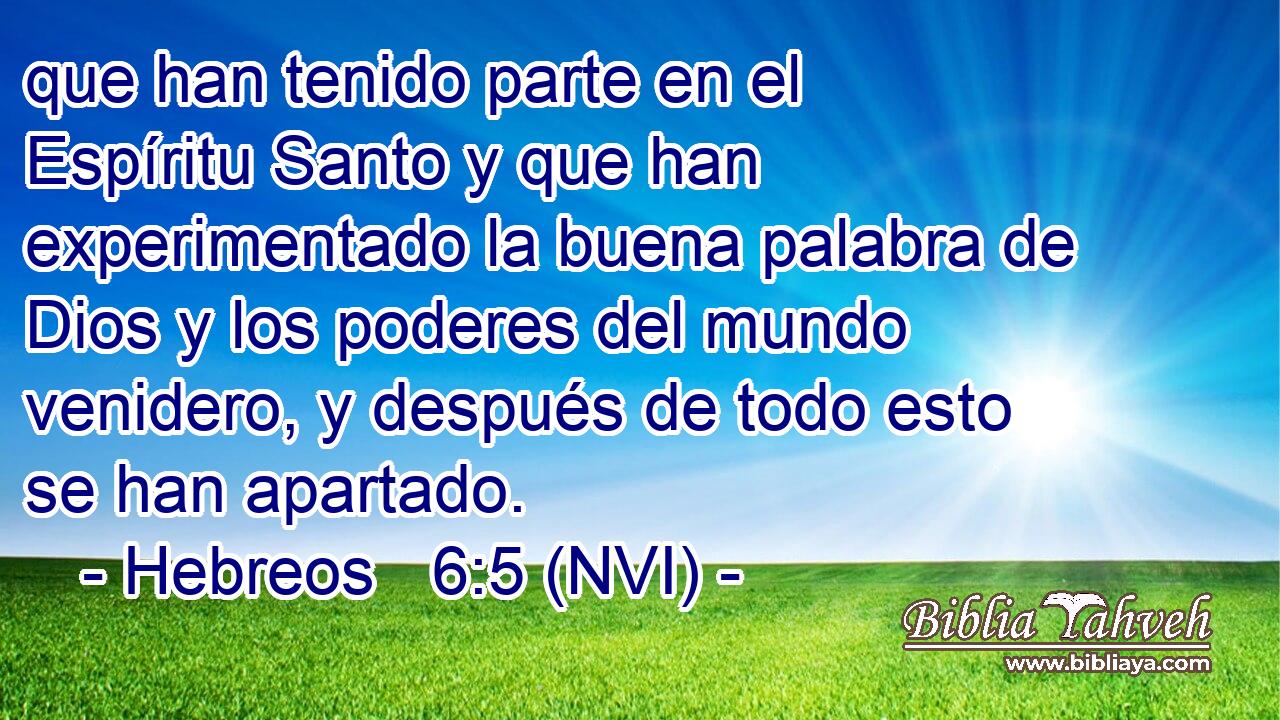  que han tenido parte en el Espíritu Santo y que han experimentado la buena palabra de Dios y los poderes del mundo venidero, y después de todo esto se han apartado. 